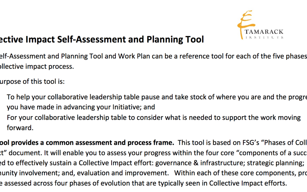 Collective Impact: Self-Assessment and Planning Tool